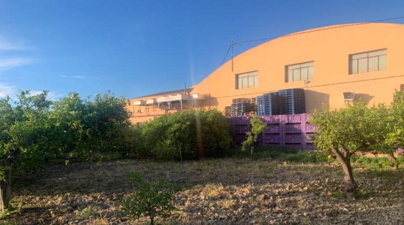 Murcia - Murcia - 4222m2