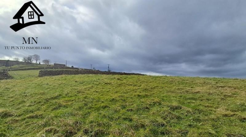 Cantabria - San Pedro del Romeral - 11410m2