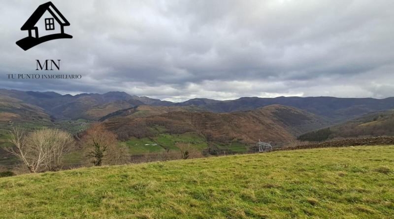 Cantabria - San Pedro del Romeral - 11410m2