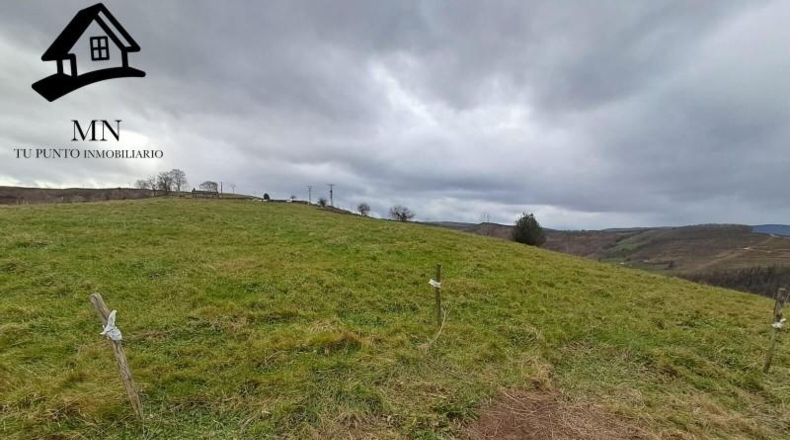 Cantabria - San Pedro del Romeral - 11410m2