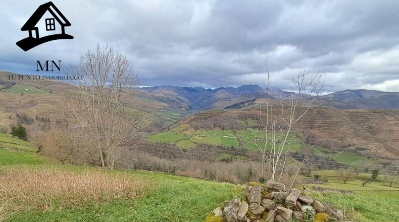 Cantabria - San Pedro del Romeral - 11410m2