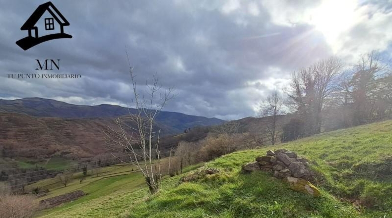 Cantabria - San Pedro del Romeral - 11410m2