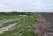 Terreno no urbanizable en venta en la España, Sanlúcar de Barrameda, ref: TR229143 foto