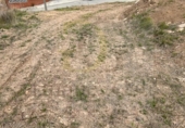 Land suitable for development for sale on España, Castellnou de Bages, ref: TR220981 photo