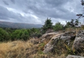 Sòl urbà en venda a la España, Àvila, ref.: TR175864 foto