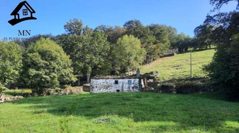 Cantabria - San Pedro del Romeral - 4836m2