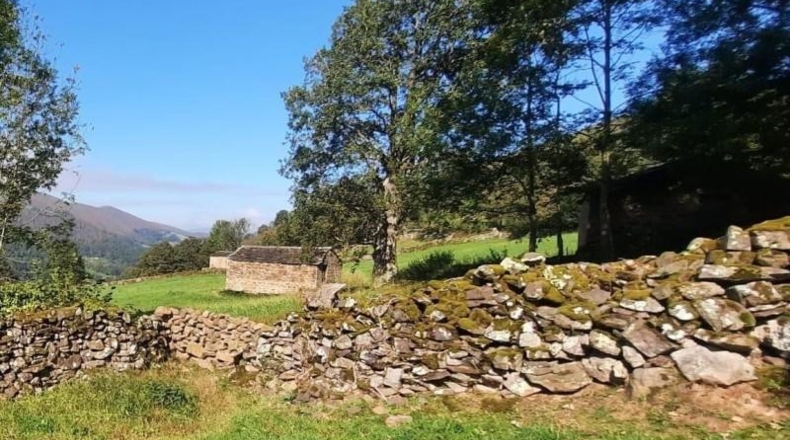 Cantabria - San Pedro del Romeral - 4836m2