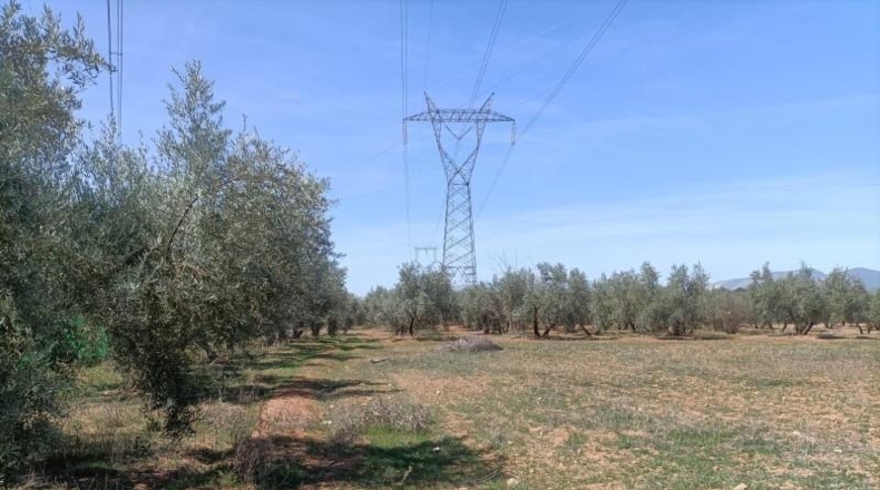 Granada - Albolote - 4337m2