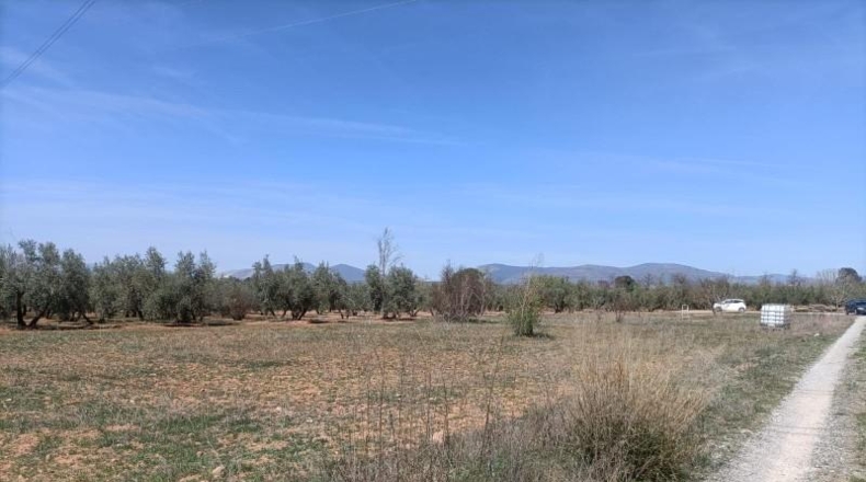 Granada - Albolote - 4337m2
