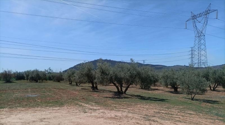 Granada - Albolote - 4337m2