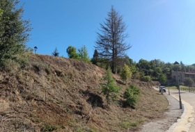 Espinelves 800&nbsp;m² 
