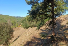 Espinelves 800&nbsp;m² 