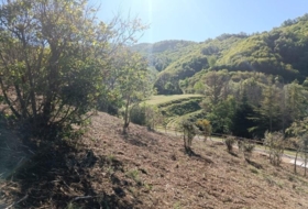 Espinelves 800&nbsp;m² 