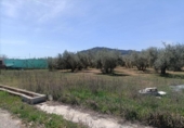 Detached villa with land for sale on España, Albolote, ref: TR295070 photo