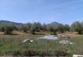 Detached villa with land for sale on España, Albolote, ref: TR295070 photo