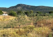 Non-developable land for sale on España, Mérida, ref: TR167949 photo