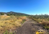 Non-developable land for sale on España, Mérida, ref: TR167949 photo