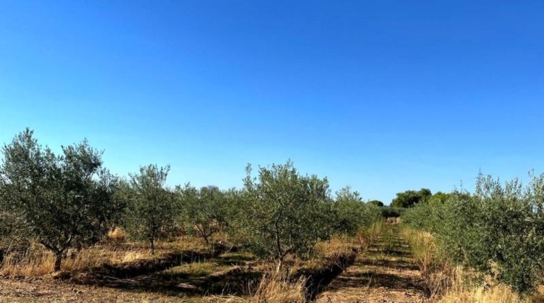 Badajoz - Mérida - 3840m2