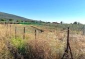 Non-developable land for sale on España, Mérida, ref: TR167949 photo