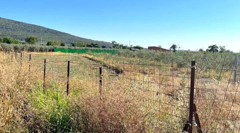 Badajoz - Mérida - 3840m2