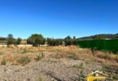 Non-developable land for sale on España, Mérida, ref: TR167949 photo