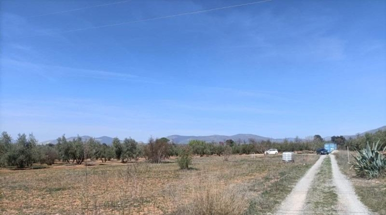 Granada - Albolote - 4357m2