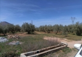 Xalet independent amb terreny en venda a la España, Albolote, ref.: TR215112 foto