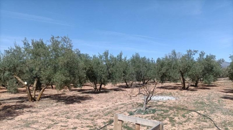 Granada - Albolote - 4357m2