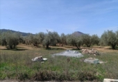 Xalet independent amb terreny en venda a la España, Albolote, ref.: TR215112 foto