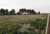 Terreno no urbanizable en venta en la España, Argamasilla de Alba, ref: TR127879 foto