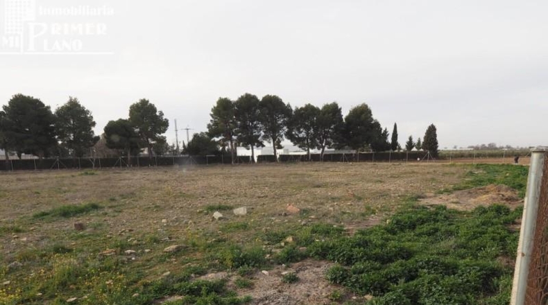 Ciudad Real - Argamasilla de Alba - 4889m2