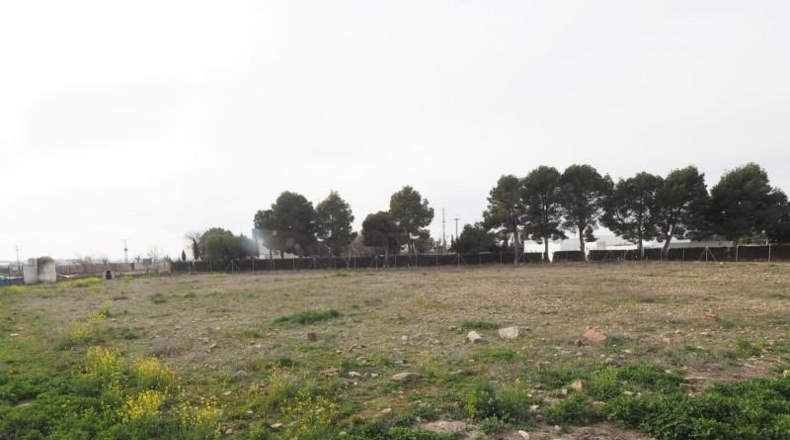 Ciudad Real - Argamasilla de Alba - 4889m2