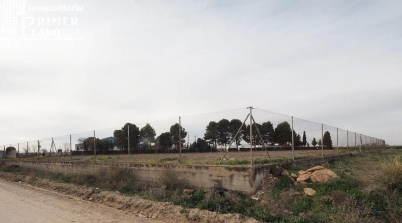 Ciudad Real - Argamasilla de Alba - 4889m2