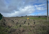 Chalet independiente con terreno en venta en la España, Camponaraya, ref: TR297752 foto