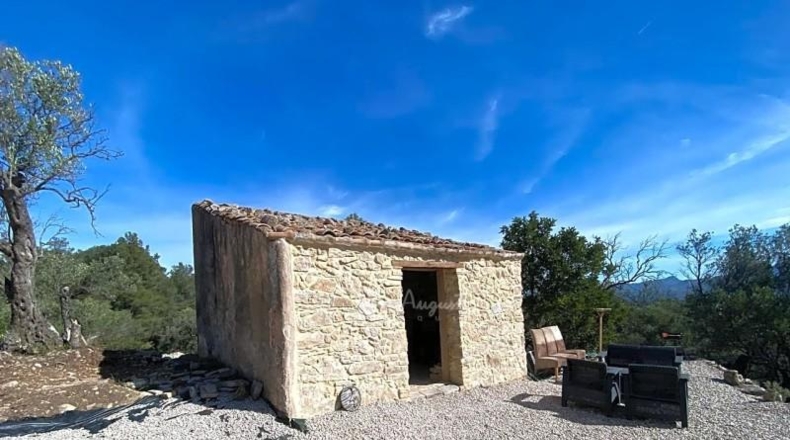Tarragona - Xerta - 51611m2