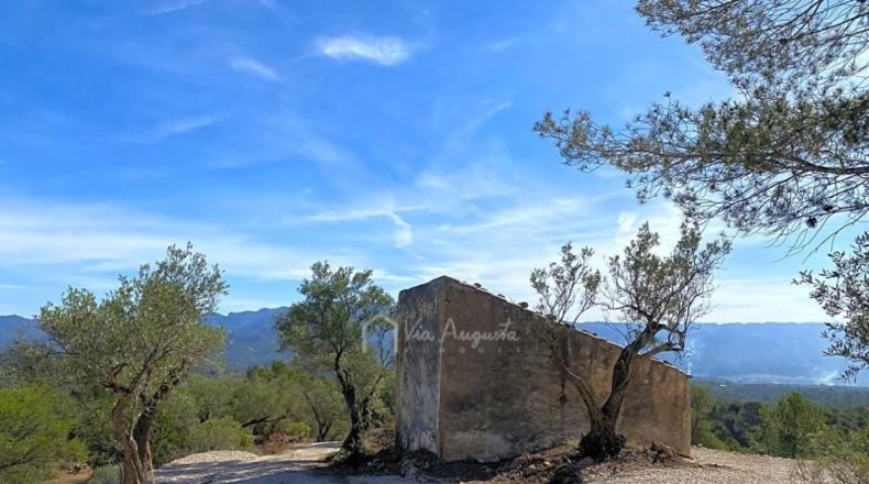 Tarragona - Xerta - 51611m2