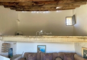 Non-developable land for sale on España, Xerta, ref: TR129257 photo