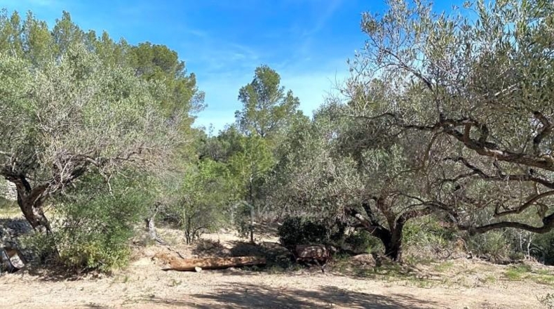 Tarragona - Xerta - 51611m2
