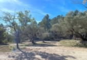 Non-developable land for sale on España, Xerta, ref: TR129257 photo
