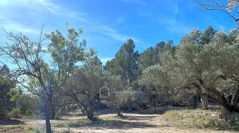 Tarragona - Xerta - 51611m2