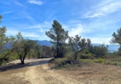 Non-developable land for sale on España, Xerta, ref: TR129257 photo