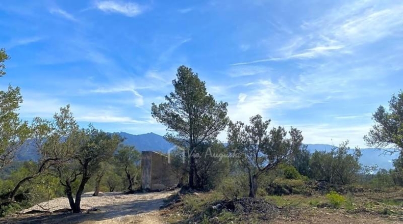 Tarragona - Xerta - 51611m2