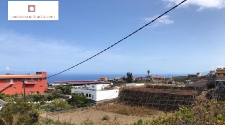 Santa Cruz de Tenerife - Icod de los Vinos - 430m2