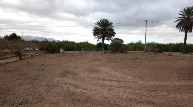 Alicante - Albatera - 3900m2