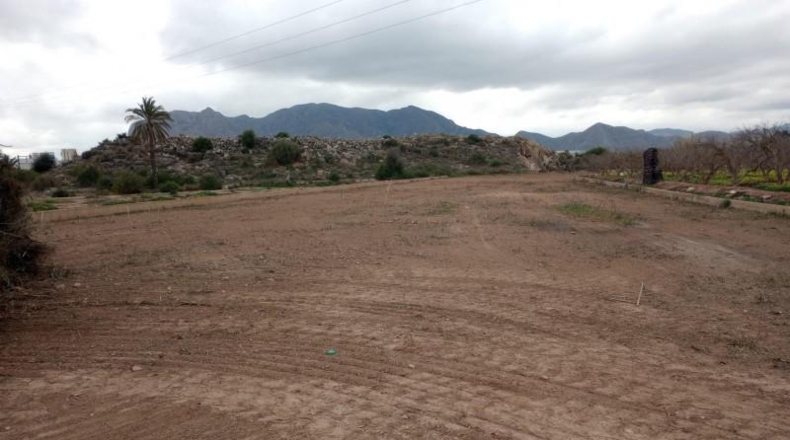Alicante - Albatera - 3900m2