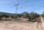 Xalet independent amb terreny en venda a la España, Albolote, ref.: TR299026 foto