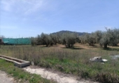 Xalet independent amb terreny en venda a la España, Albolote, ref.: TR299026 foto