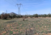 Xalet independent amb terreny en venda a la España, Albolote, ref.: TR299026 foto