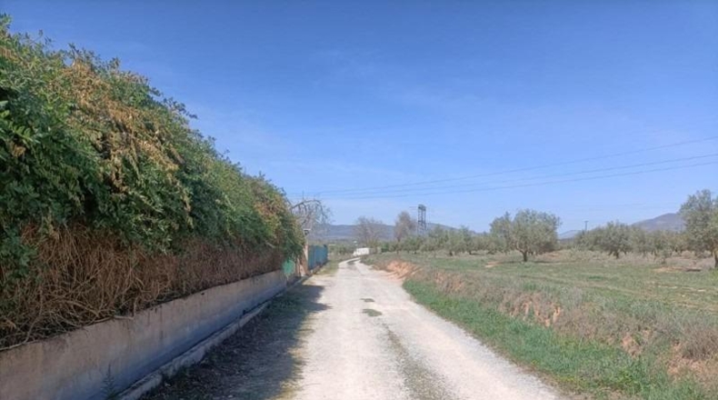 Granada - Альболоте - 4357m2