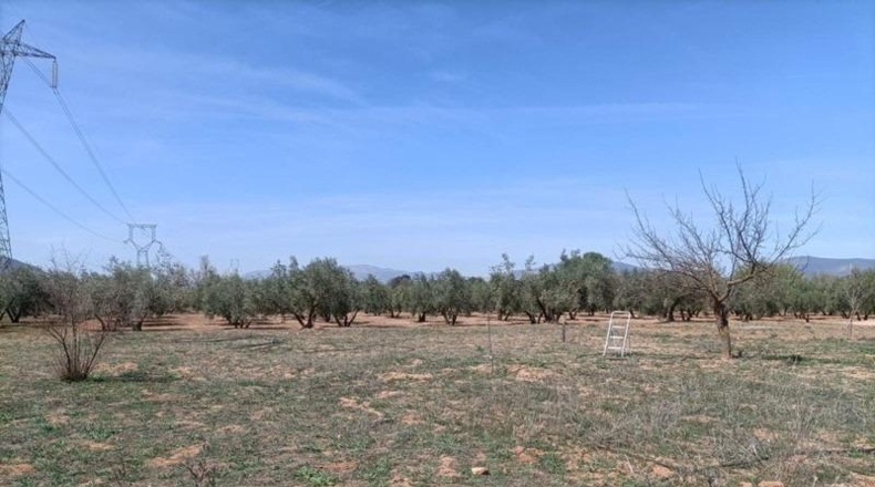 Granada - Альболоте - 4357m2